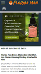 Mobile Screenshot of floridaman.com